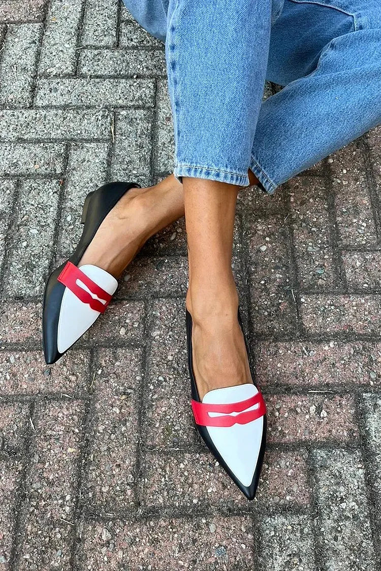 Natalya | Pointed Colour-Block Loafers