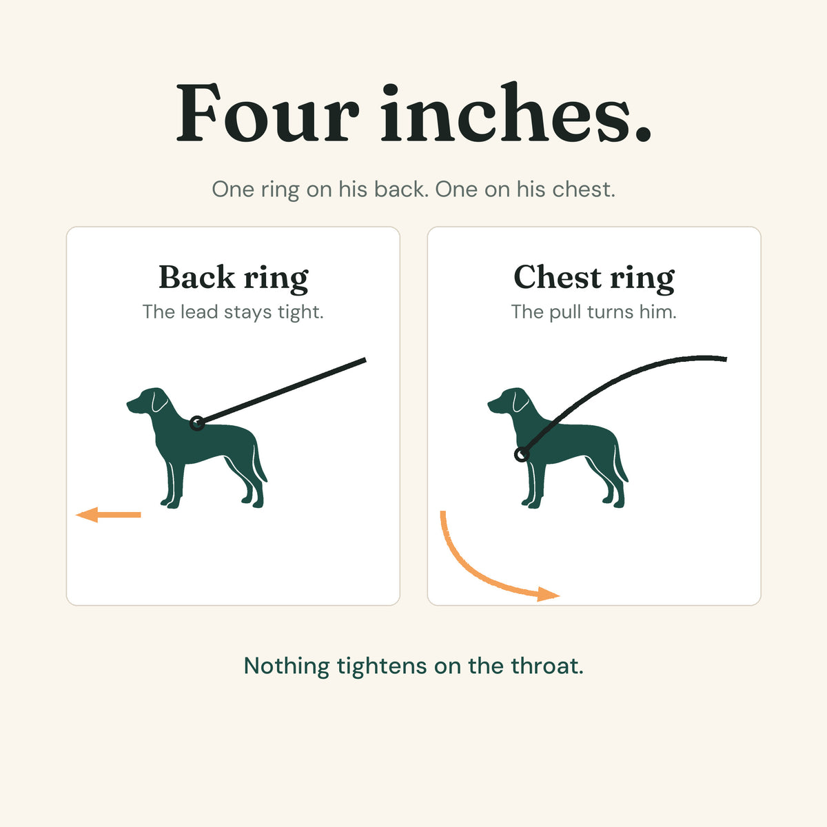Diagram: the same dog drawn twice. With the leash on the back ring the lead is pulled tight and he drives forward. With the leash on the chest ring the lead is slack and he turns back toward the handler.