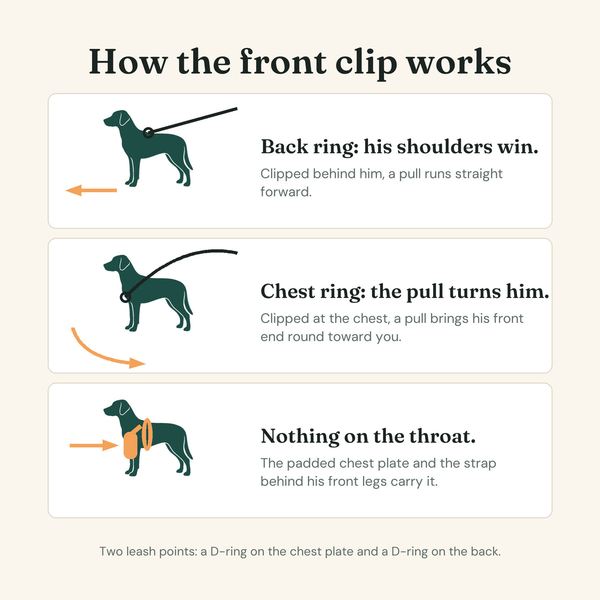 Diagram in three panels: the back ring, the chest ring, and nothing sitting on the throat.